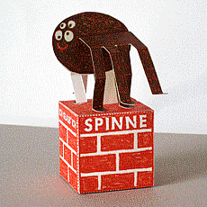 Spinnenbild