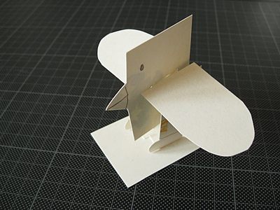 vogel