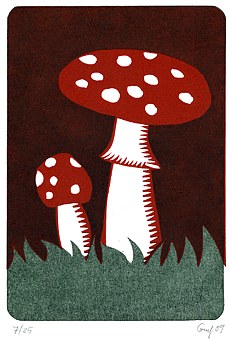 fliegenpilz