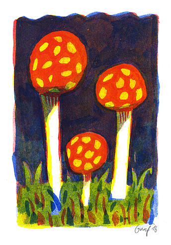 mushrooms